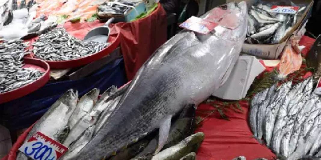 Akdeniz kıyılarında dev av: 1 metre 40 santim boyunda, kilosu 650 TL 3